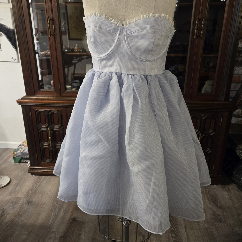 The Rococo Corset - Baby Blue Pinstripe